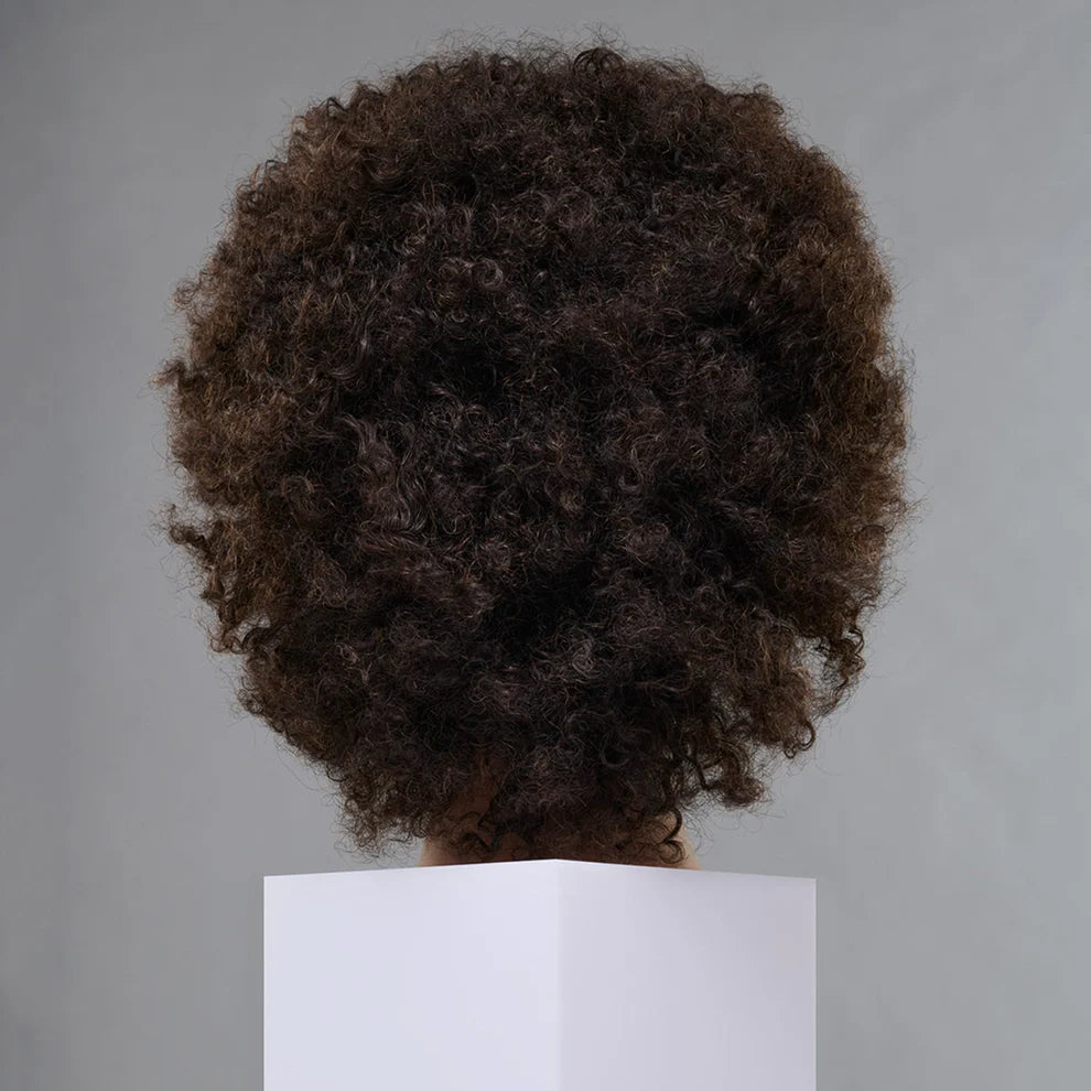 Fromm Theo Textured Hair Mannequin #D3071 – 100% Human Hair, 16-18"